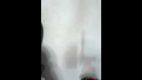 _isabella_1 @ stripchat on 20251221