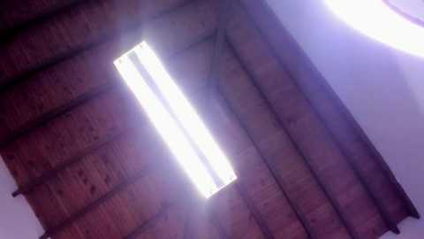 megan_foro @ stripchat on 20251221