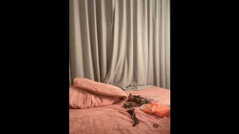 bibi347127 @ stripchat on 20251222