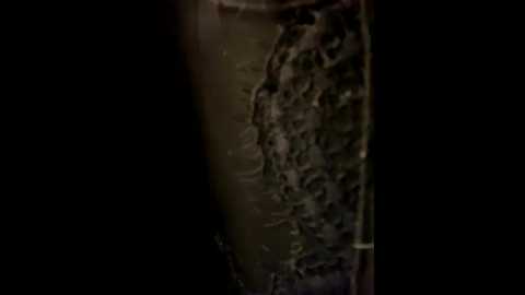 bunny_sexy01 @ stripchat on 20251222