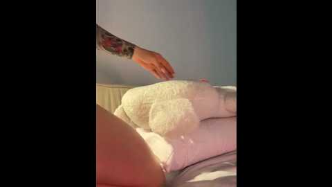 curchez_ @ stripchat on 20251222