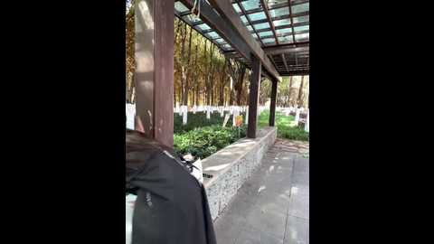 qingqing_ss @ stripchat on 20251222