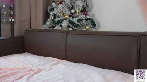 adeliantmu @ stripchat on 20251223