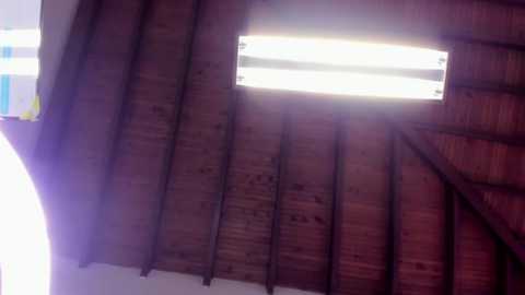 megan_foro @ stripchat on 20251223