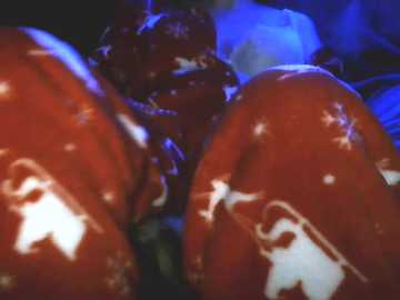 everydayonli @ stripchat on 20251224