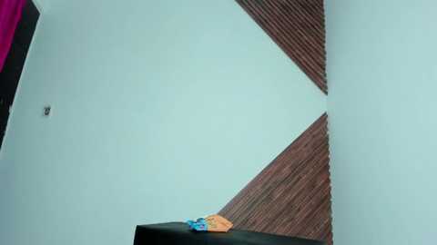 fkn_dream18 @ stripchat on 20251224