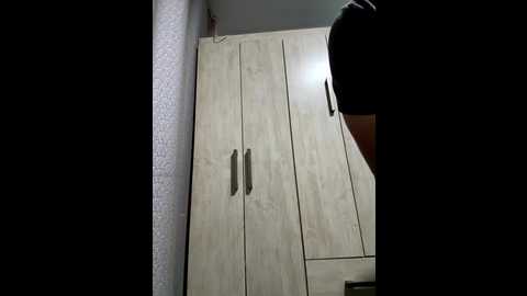 anonima_girl @ stripchat on 20251225