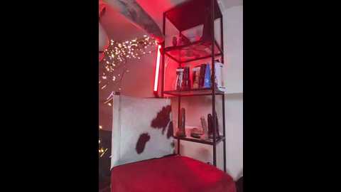 sabien_demonia @ stripchat on 20251226