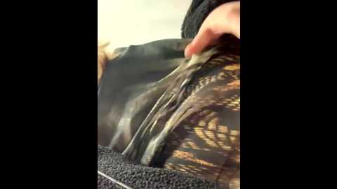 vesnacrystal @ stripchat on 20251226