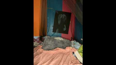 melissaschneider @ stripchat on 20251227