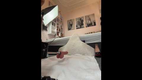 foxyandted @ stripchat on 20251228