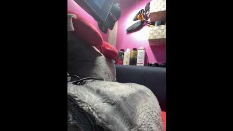 sexymelli18 @ stripchat on 20251228