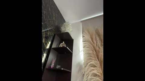 alexandra_duque @ stripchat on 20251229