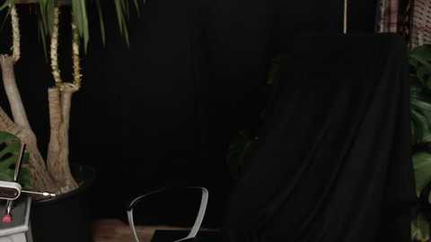 lola_sky@xh @ stripchat on 20251229