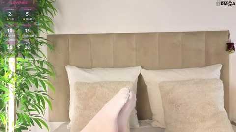 marydavies @ stripchat on 20251229