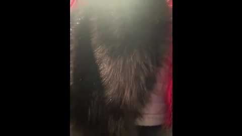 mia_fuchs @ stripchat on 20251229