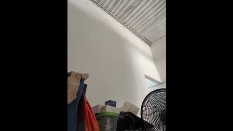 eva_stark10 @ stripchat on 20251230