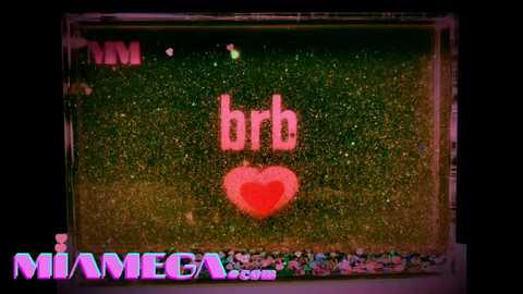 miamega @ stripchat on 20251230