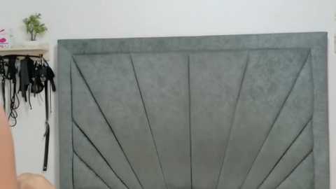 raven_os @ stripchat on 20251230