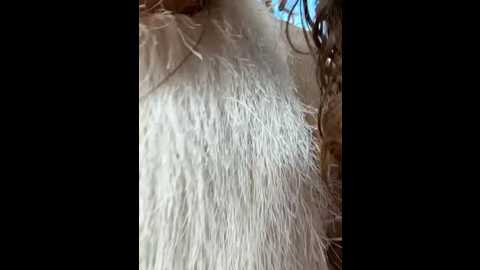 alana15 @ stripchat on 20251231