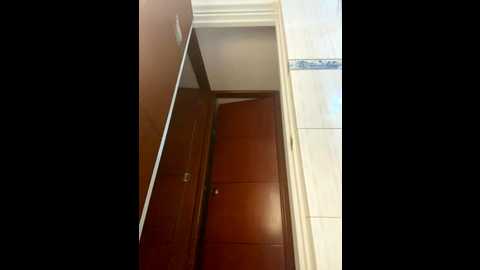 bunny_sexy01 @ stripchat on 20251231