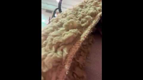 forbiddenaddictions @ stripchat on 20251231