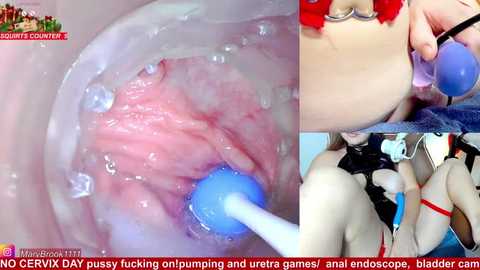 marybrook1 @ stripchat on 20251231