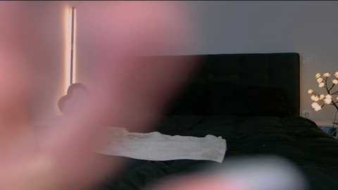 niinarosee @ stripchat on 20251231