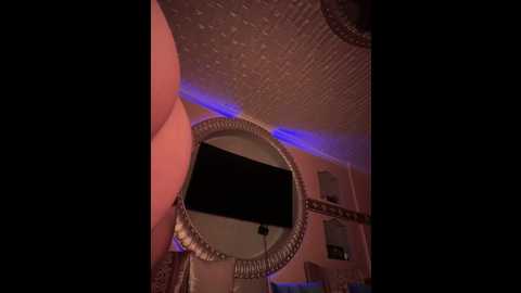 orla86 @ stripchat on 20251231