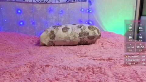 vett_kitty @ stripchat on 20251231