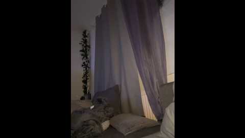 vinique99 @ stripchat on 20251231