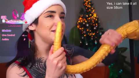 evacanton @ stripchat on 20260101