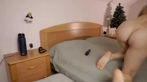 foxeslovefoxes @ stripchat on 20260101