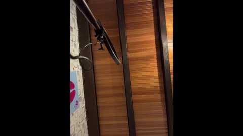 littlechaosqueen @ stripchat on 20260101