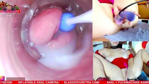 marybrook1 @ stripchat on 20260101