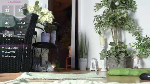 squirtmania @ stripchat on 20260101