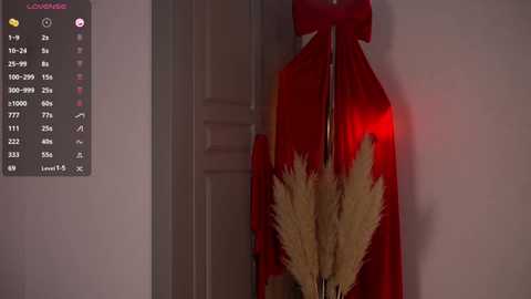 vika54784 @ stripchat on 20260101