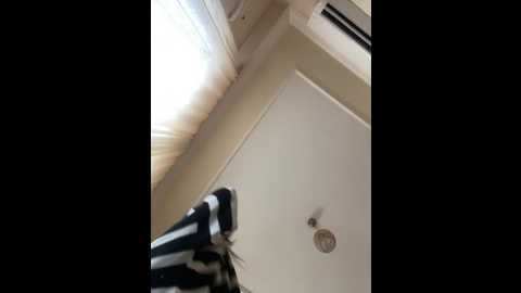 _cicek @ stripchat on 20260102