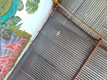 cataleyarusso @ stripchat on 20260102