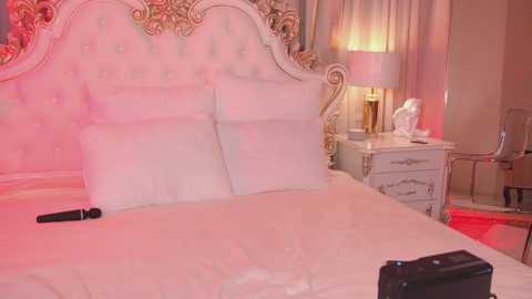 janebrock @ stripchat on 20260102