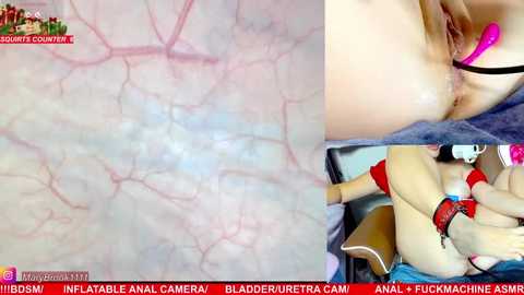 marybrook1 @ stripchat on 20260102