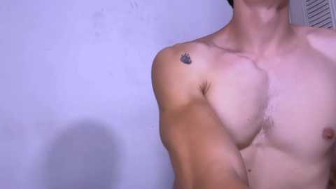 miiafoxxx @ stripchat on 20260102