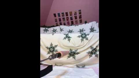 rinamay_ @ stripchat on 20260102