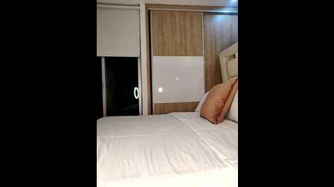 sofit26 @ stripchat on 20260102