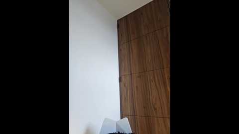 sorpresa_x @ stripchat on 20260102