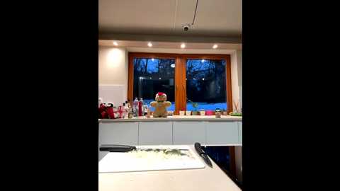 steffi_snowbunny @ stripchat on 20260102