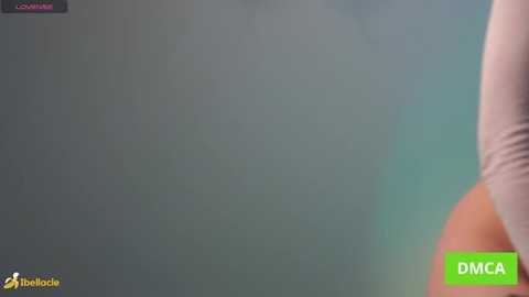 bellacle @ stripchat on 20260103