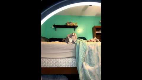 bellywelly69420 @ stripchat on 20260103