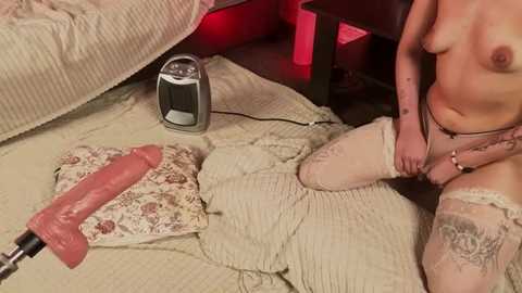 frie_moor @ stripchat on 20260103