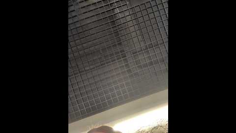 kirasunshine @ stripchat on 20260103